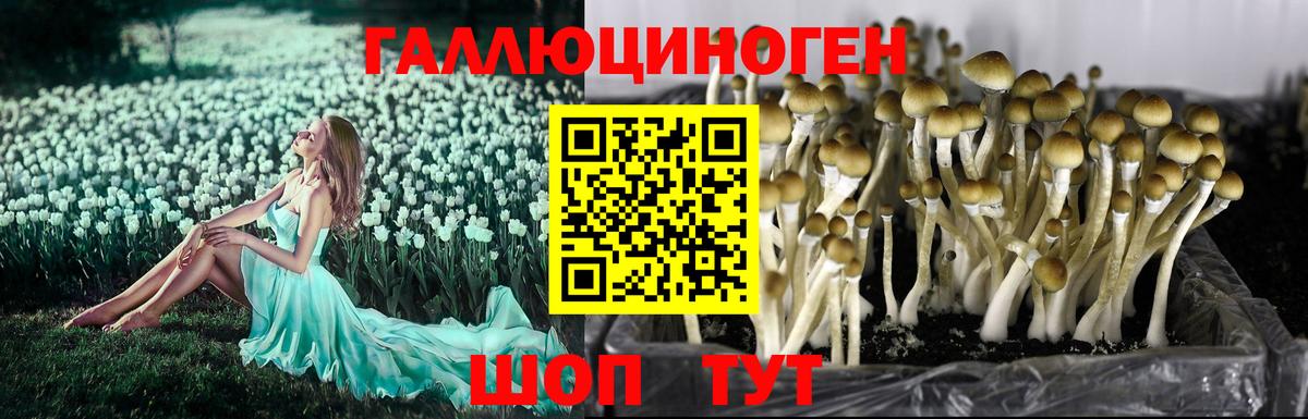 Псилоцибиновые грибы Cubensis  Вход с VPN  Магадан  Псилоцибиновые грибы мухоморы 